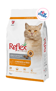 Reflex Kitten Dry Food Chicken – 2kg